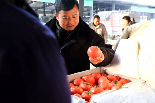 购年货 一站式 郑州市家门口的批发市场 侯寨农副产品批发市场