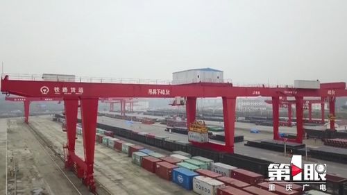 7月重庆外贸进出口创五年来新高，商品批发贸易推动累计增幅达8.5%