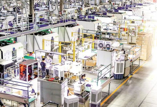 逆境突围 广安外贸企业以创新产品开拓海外新市场